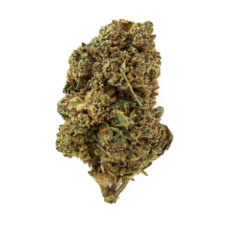 Fleur CBD Budda Zen Indoor 19,5 % | Baies & Tropical | 321CBD