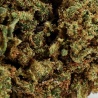 CBD Herb 707 Truthban (12,1%) (in French)