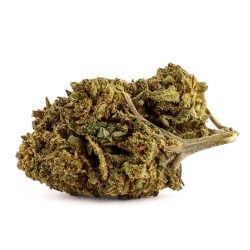 CBD Herb 707 Truthban (12,1%) (auf Französisch)