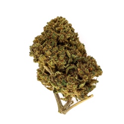 CBD Herb 707 Truthban (12,1%) (in French)
