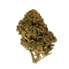 CBD Herbe 707 Truthban (12,1%)
