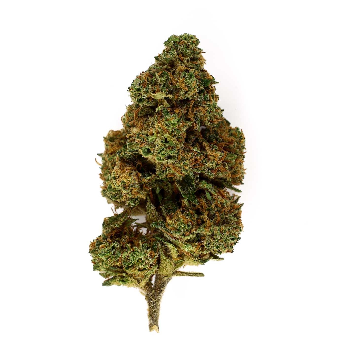 CBD-Blüte Mango Kush Outdoor (23,7%) – 321CBD