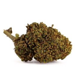 Fleur de CBD Lemon Cake Indoor (17%)