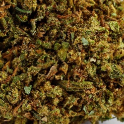 Fleur de CBD Lemon Cake Indoor (17%)