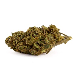 CBD Flower Gorilla Queen (21.7%)