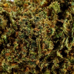 CBD Flower Gorilla Queen (21.7%)