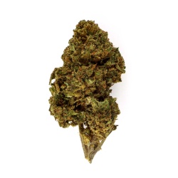 CBD Flower Gorilla Queen (21.7%)