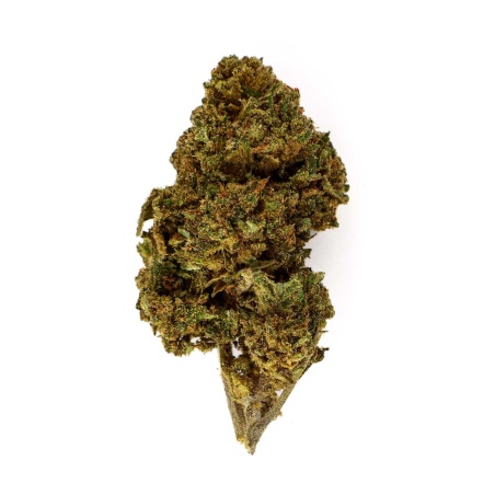 CBD-Blüte Gorilla Queen (21,7%)