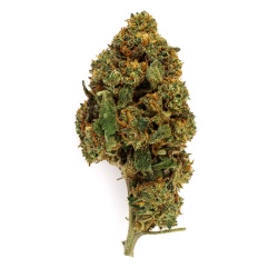 CBD Flower Blackberry Kush (11.1%)