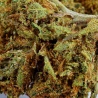 Mandarine Indoor CBD Flower (19%)