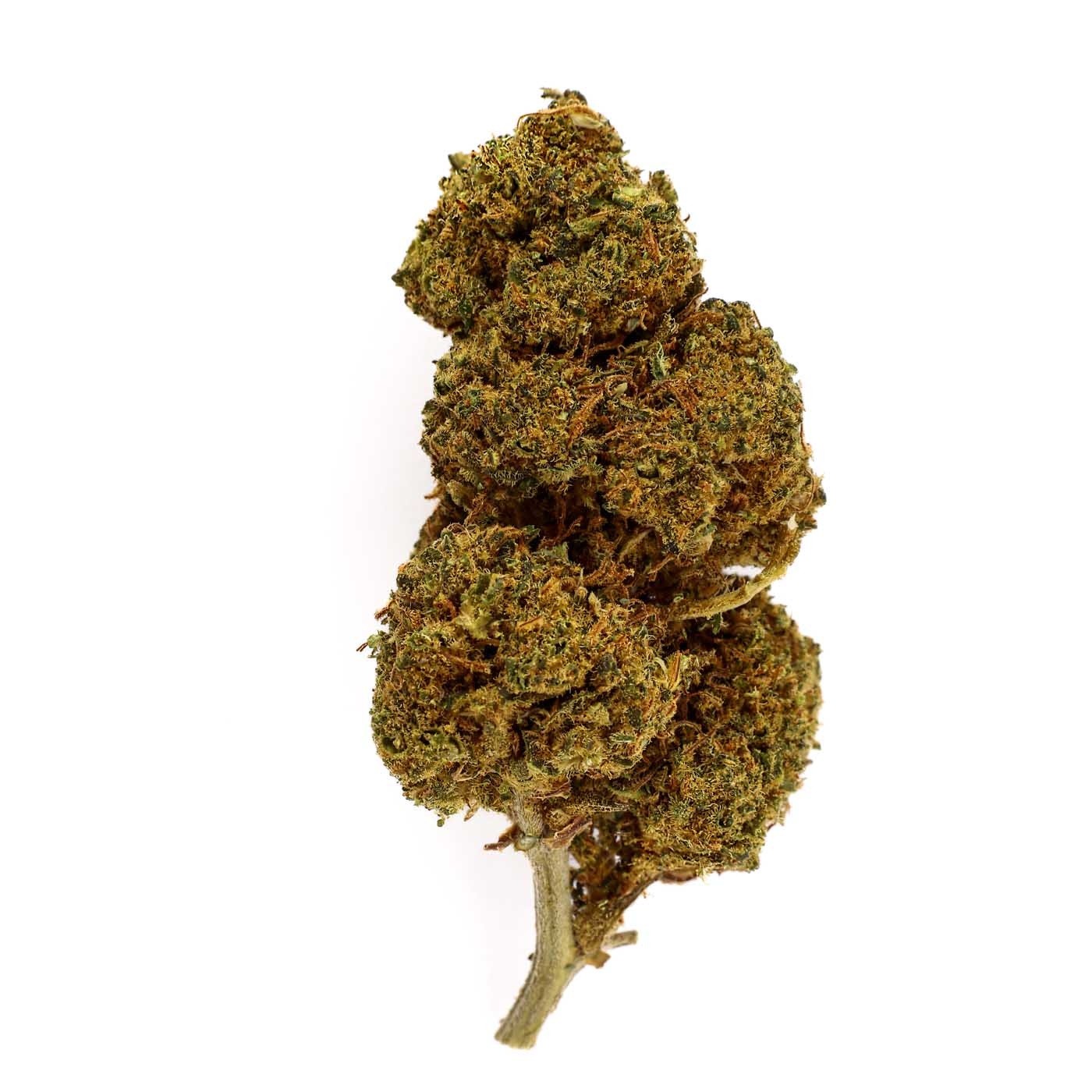 Mandarine Indoor CBD Flower (19%)