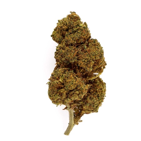 Mandarine Indoor CBD-Blüte (19%)