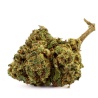 CBD-Blüte Amnesia Haze Indoor (21,9%)