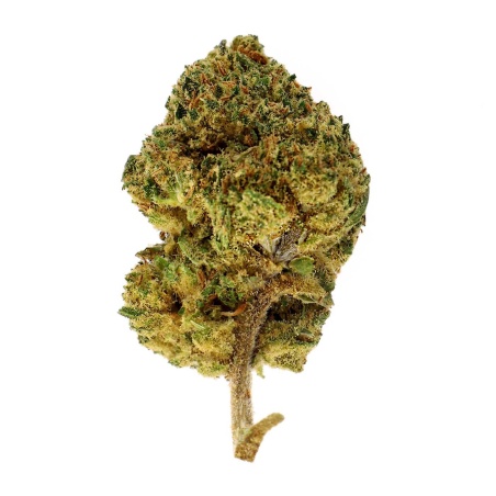 CBD Flower Amnesia Haze Indoor (21.9%)