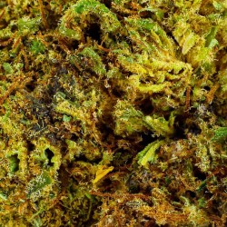 CBD Flower Orangello Indoor (18%)
