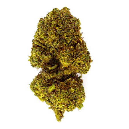 CBD-Blüte Orangello Indoor (18%)