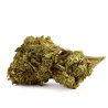 Hulk Berry Indoor CBD-Blüte (21%)