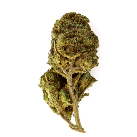 Hulk Berry Indoor CBD-Blüte (21%)