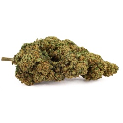 CBD Flower Silver Haze Greenhouse (21.2%)