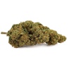CBD Flower Silver Haze Greenhouse (21.2%)