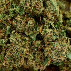 CBD Flower Silver Haze Greenhouse (21.2%)