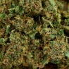 CBD Flower Silver Haze Greenhouse (21.2%)