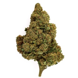 CBD Flower Silver Haze Greenhouse (21.2%)