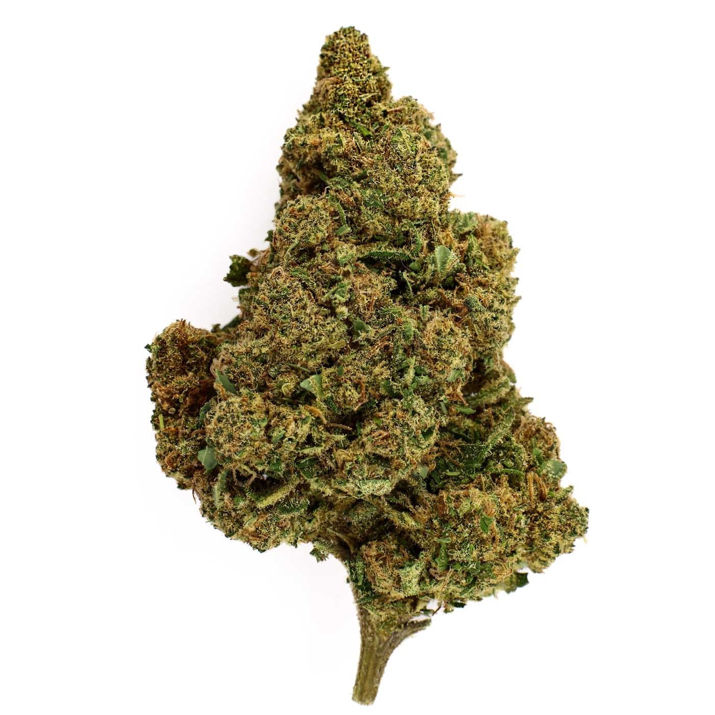 CBD Flower Silver Haze Greenhouse (21.2%)