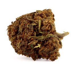 CBD-Blüte Bubble Gum Indoor (17%)