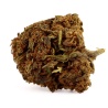 CBD-Blüte Bubble Gum Indoor (17%)