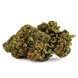 CBD-Blüte Cannatonic Greenhouse (21,2%)