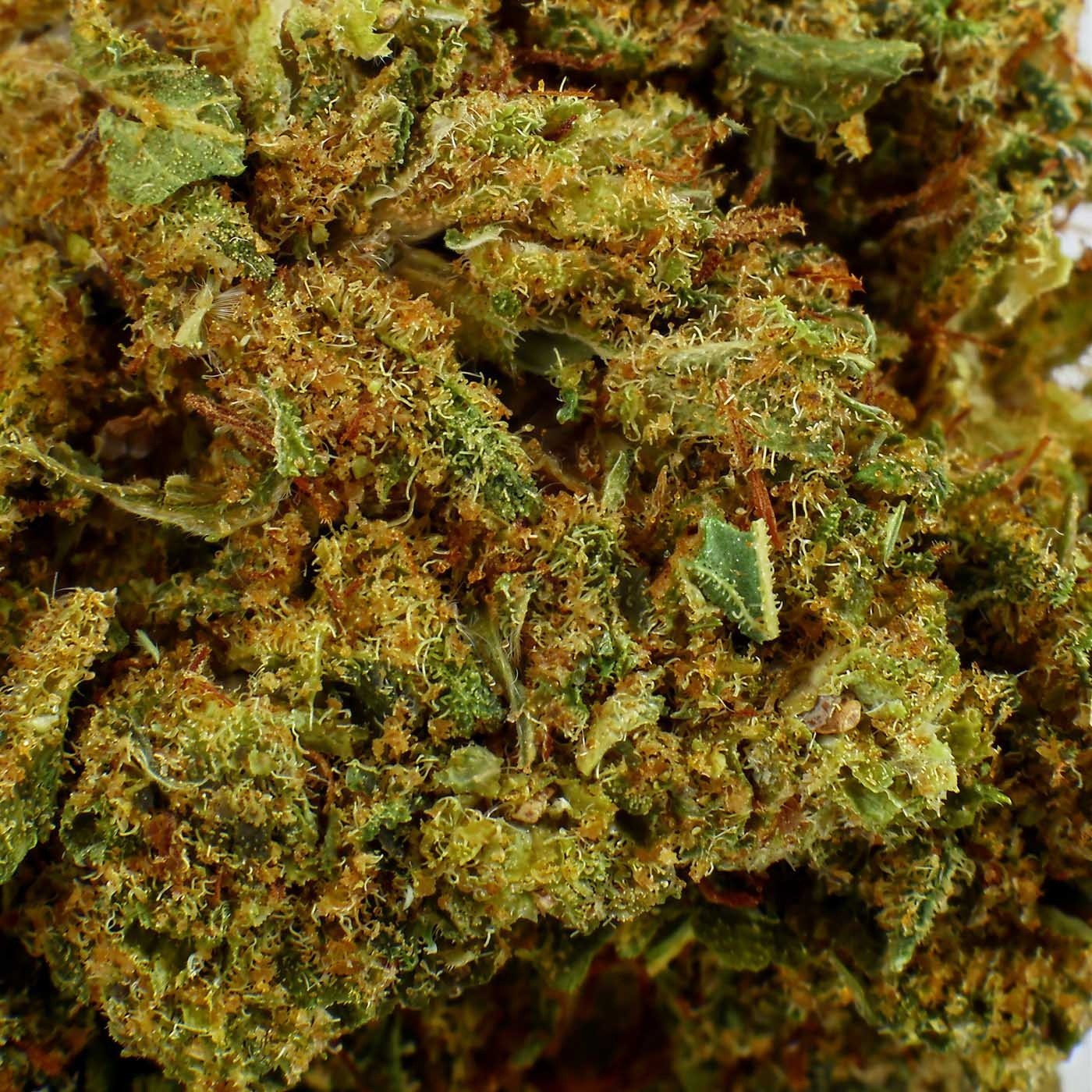 Fleur CBD Amnesia Kush Indoor 23,8 % | Poivre & Citron | 321CBD