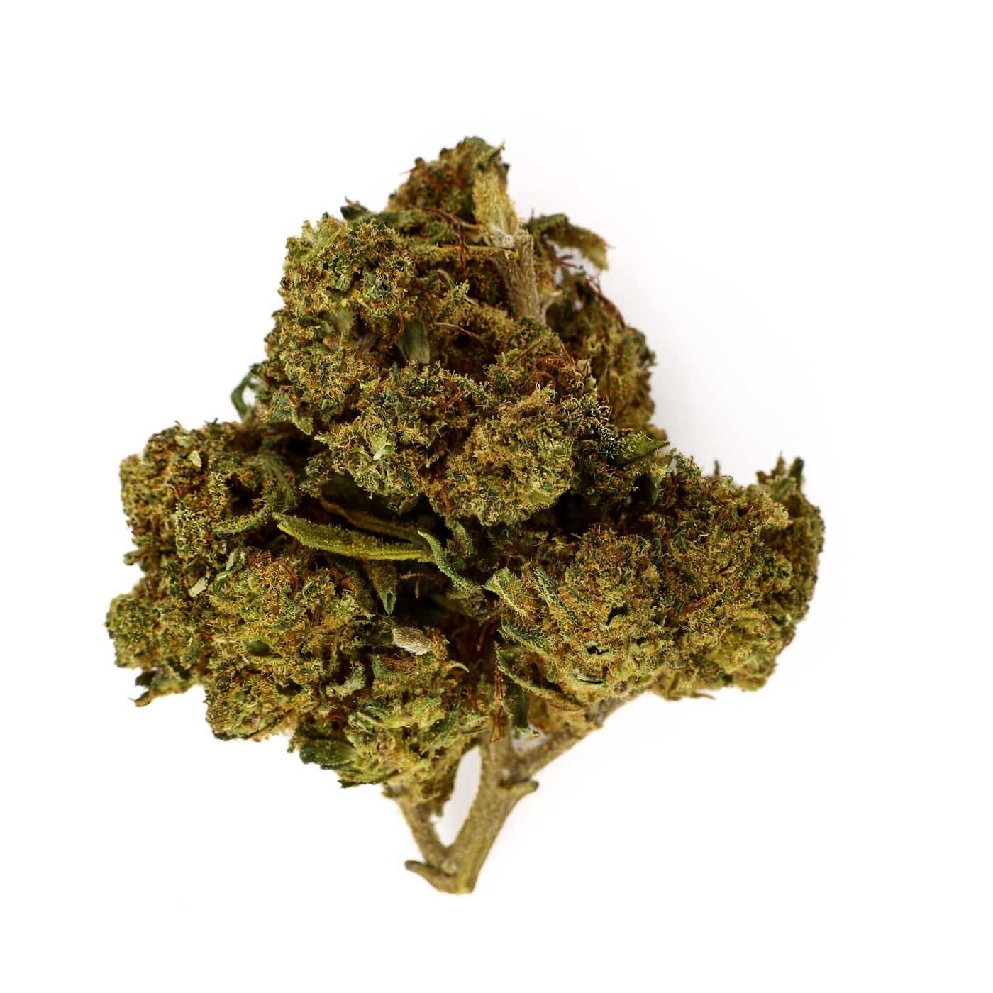 Fleur CBD Amnesia Kush Indoor (23,8%)