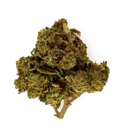 CBD-Blüte Amnesia Kush Indoor (23,8%)