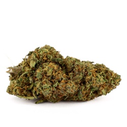 CBD Flower Royal Gorilla Indoor (17.4%)