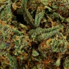 CBD Flower Royal Gorilla Indoor (17.4%)