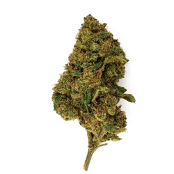 Fleur CBD Swiss Tsunami (19,3%)