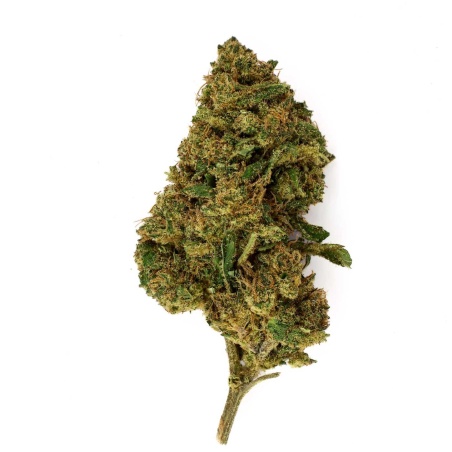 Fleur CBD Swiss Tsunami (19,3%)