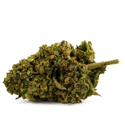 CBD Flower Orange Turbo (11.5%)