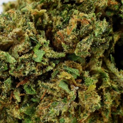 Fleur CBD Orange Turbo (11,5%)