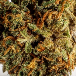 CBD Flower Super Skunk Greenhouse (3%)