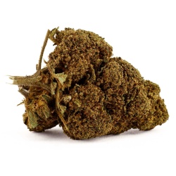 CBD-Blüte Jack Herer Indoor (18,1%)