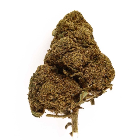 CBD-Blüte Jack Herer Indoor (18,1%)