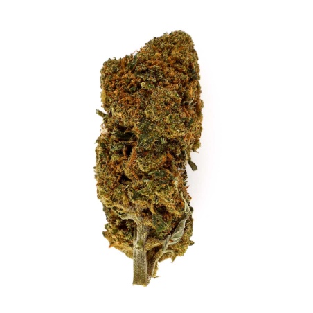 CBD Flower Wedding Cake (20%) compact premium bud rich in trichomes