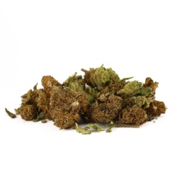 Trim de Fleurs CBD Amnesia Haze Indoor vue latérale mélange dense riche en détails