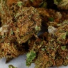 Trim de Fleurs CBD Amnesia Haze Indoor gros plan mélange résineux riche en trichomes