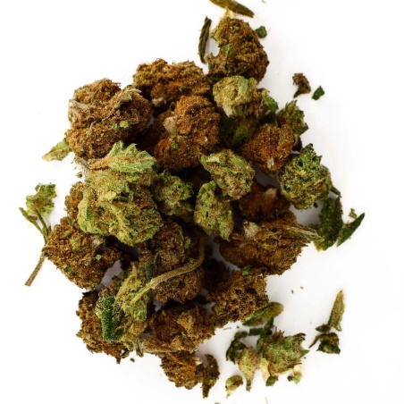 Trim de Fleurs CBD Amnesia Haze Indoor mélange de fleurs riche en trichomes