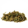 Trim de Fleurs CBD Cannatonic Greenhouse vue latérale mélange dense riche en détails