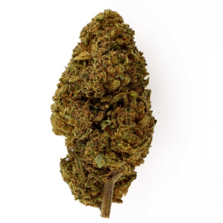 CBD Flower Gelato Greenhouse (17%) compact premium bud rich in trichomes