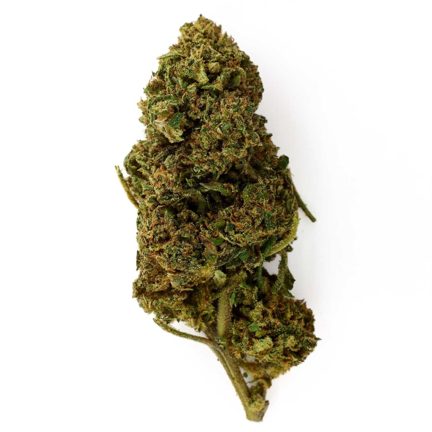 CBD Flower White Fire OG Greenhouse (18.7%) compact bud with pungent woody aromas rich in trichomes